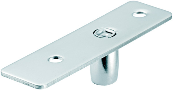 Surface Mounted Top Pivot for top door patch fitting or top door rail, matte stainless steel cover, 106 x 28mm