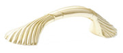 PULL, SHELL SATIN BRASS