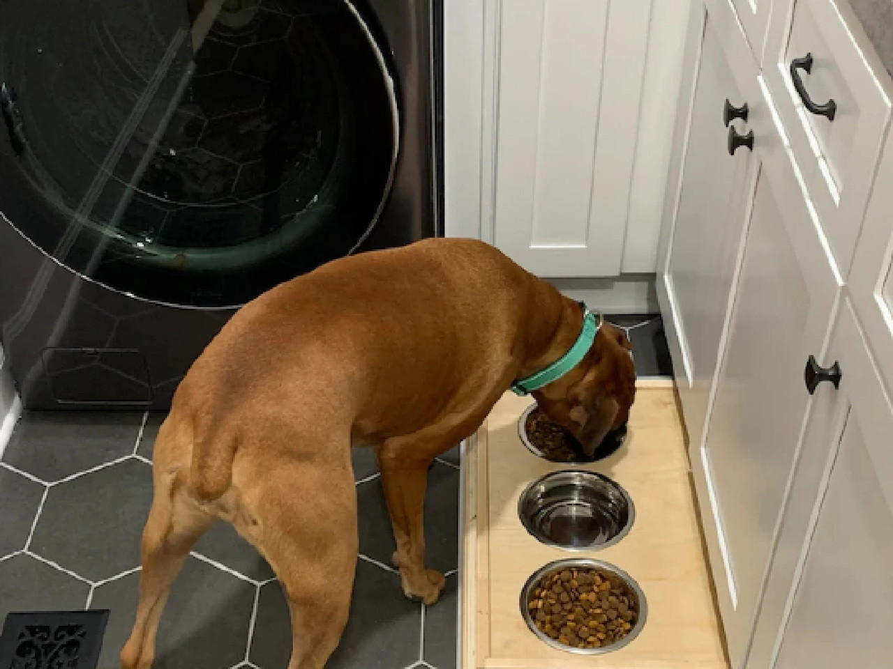 "WOOF Vinci" Pet Feeder Kick Plate Drawer Choose your size and material