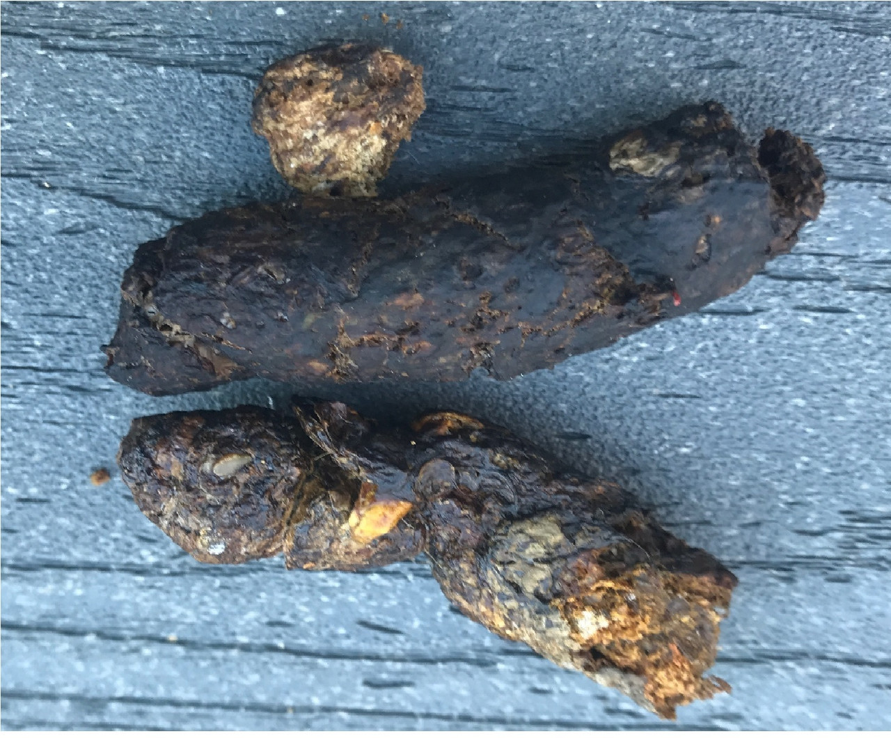 "Real" Dog POOP gift PVC material