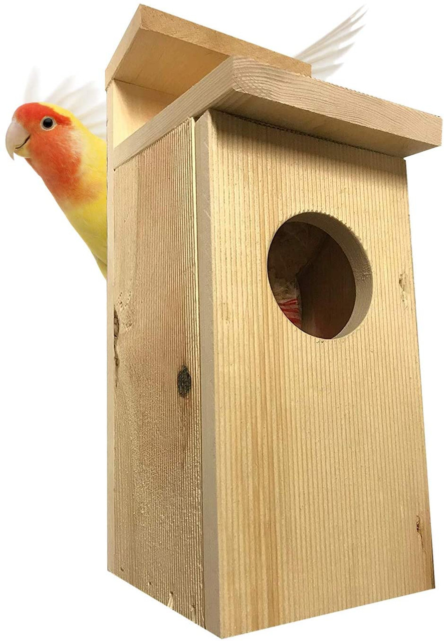 Bird House American Kestrel nest box Bird House 2-4" Hole Pine Unfinished , Choose Material and size.