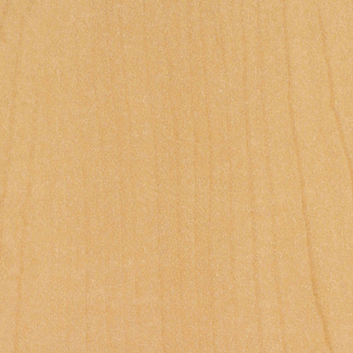 Edgebanding - #WM5577 Scandia Maple,