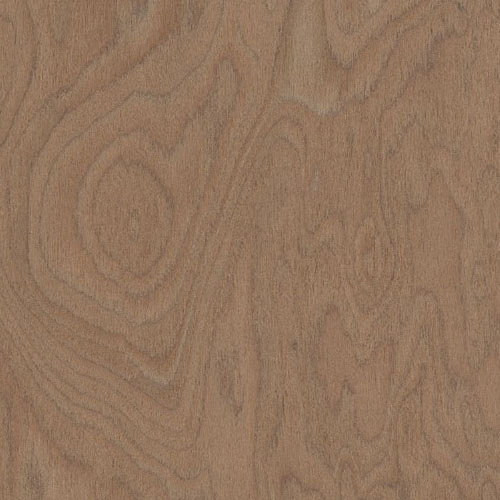 Edgebanding - #1563 Caramel Burl - Evolution HD, Backing Pre-Glued