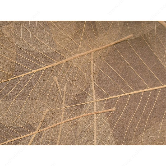Skelettblattla Sheet - Sun-dried Leaves 0117,