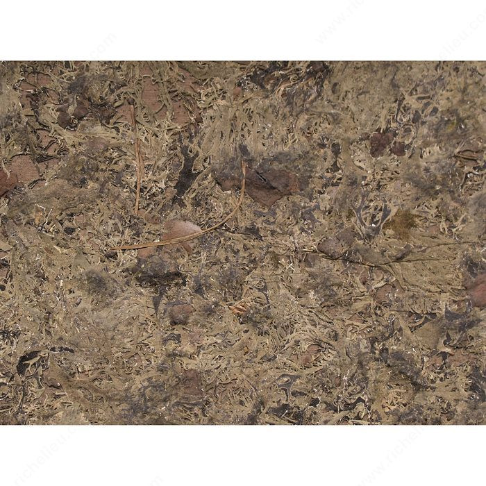 Bamboart Sheet - Lichen on Bark 0144,