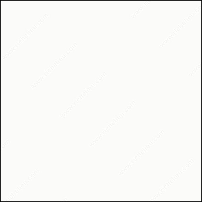 #1005 Frosty White, Width 7/8 in