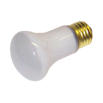 Bulb, Incandescent, 40W, R16 - Z0B0002 for ZEPHYR