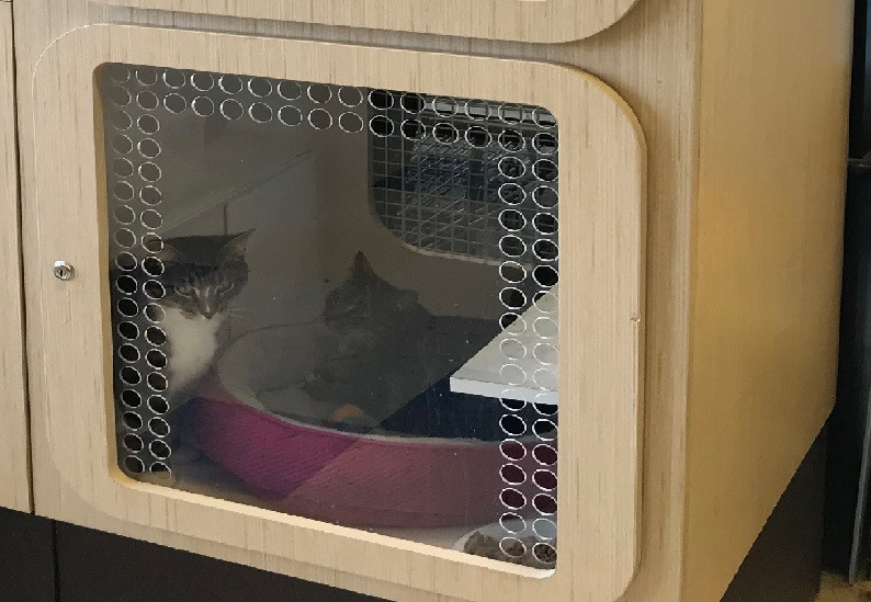 Pet Dog Cat House Store Kennels Crate Choose size,with window.One Level.
